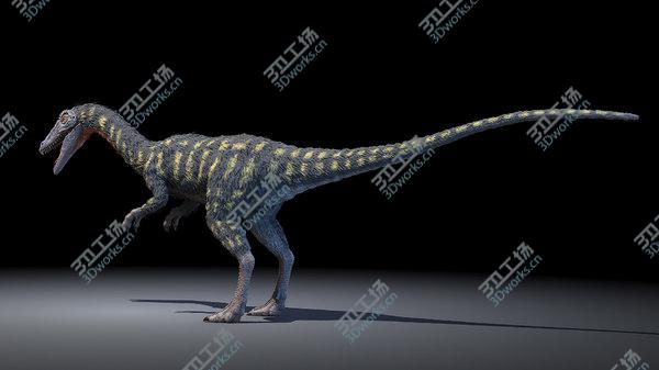 images/goods_img/20210312/3D model Coelophysis/5.jpg